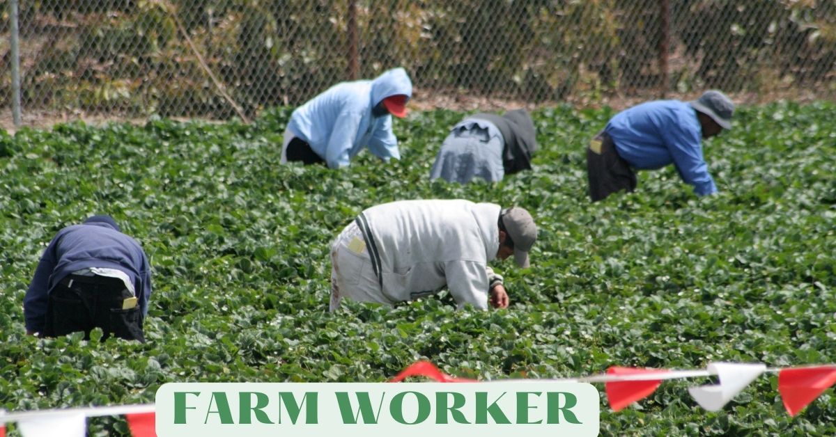 Farm Worker jobs in Canada