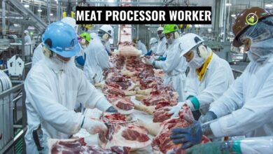 Meat Processor Worker Jobs in New Zealand