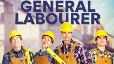 Skilled Labourer Jobs in New Zealand