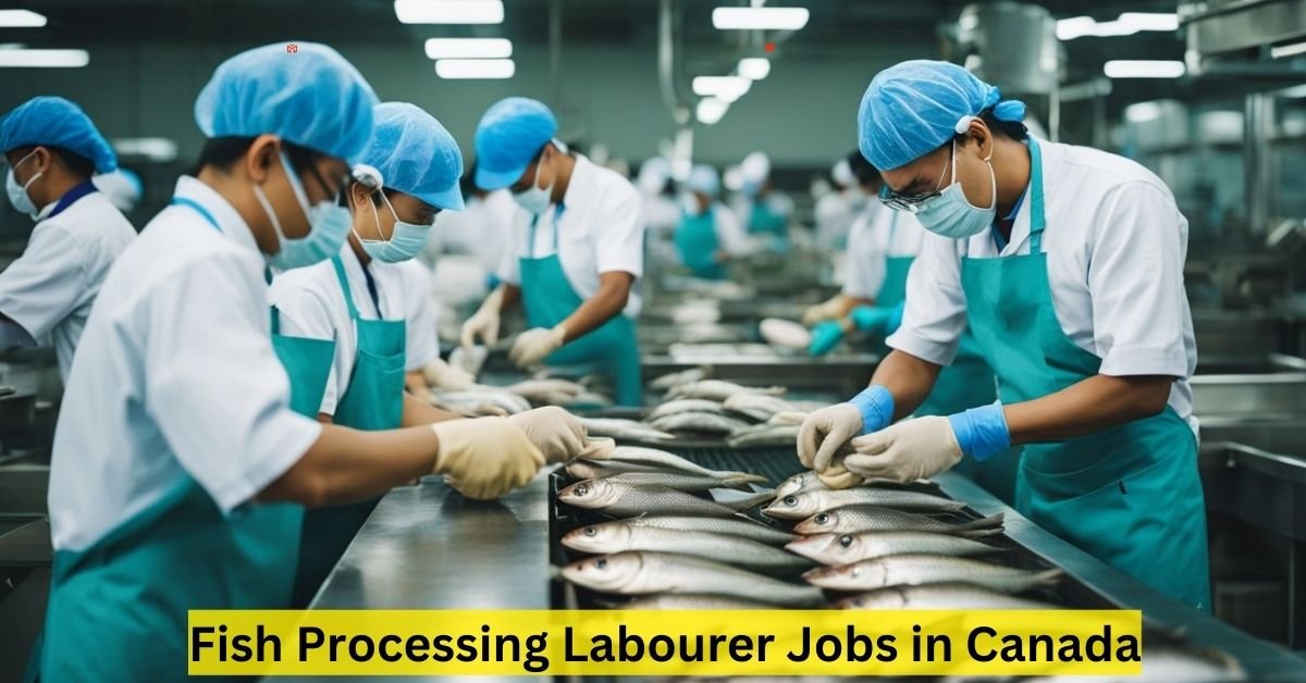 Fish Processing Labourer Jobs in Canada