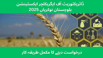 Agriculture Department Balochistan Jobs 2025