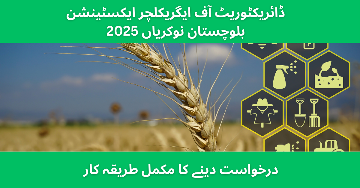 Agriculture Department Balochistan Jobs 2025