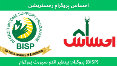 Ehsaas Program Registration 8171 NADRA 2025