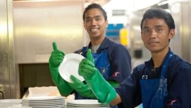 Steward Jobs in Italy